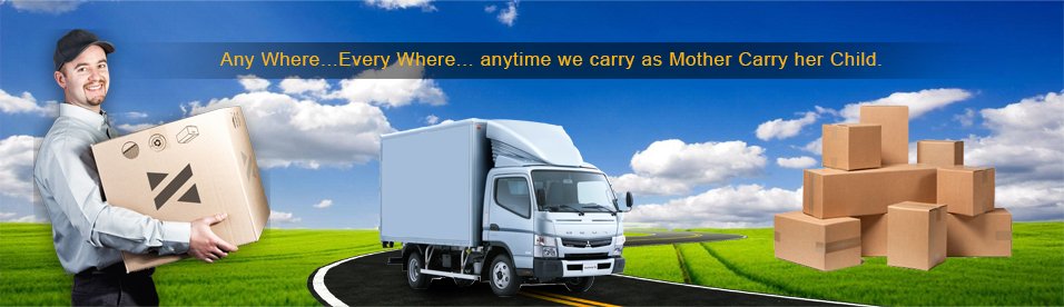 DTDC Movers and Packers 