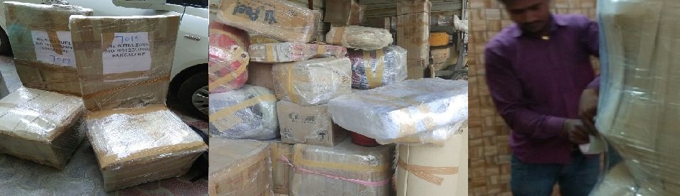 DTDC Movers and Packers 