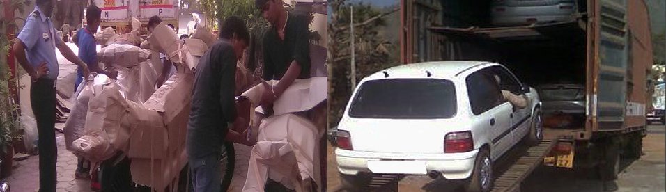 DTDC Movers and Packers 