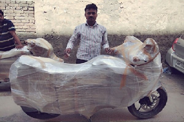 DTDC Packers and Movers